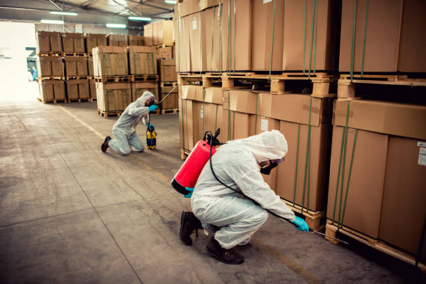 Flea Control Services in Solomon, KS