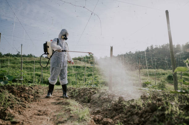Best Best Pest Control Companies  in Solomon, KS