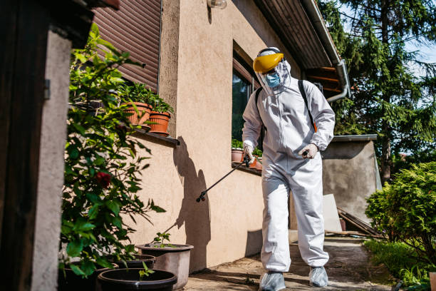 Best Local Pest Control Services  in Solomon, KS