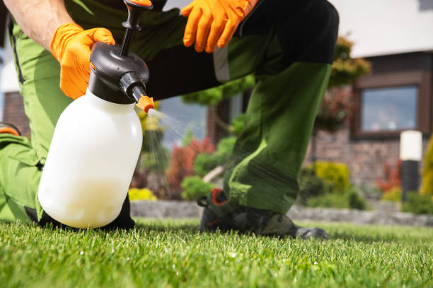 Best Commercial Pest Control Services  in Solomon, KS