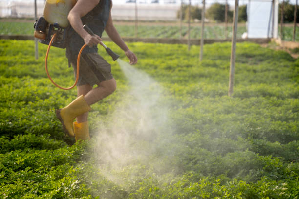 Best Residential Pest Control  in Solomon, KS