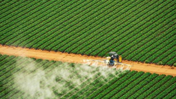 Best Pest Control Cost  in Solomon, KS