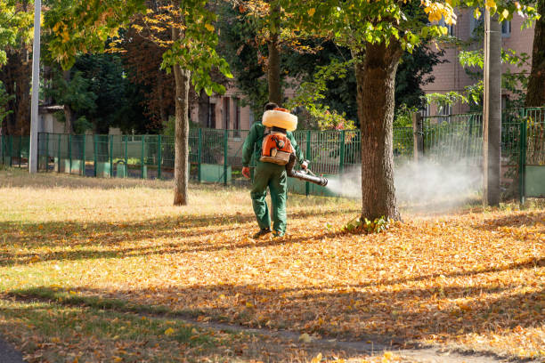 Best Pest Control Near Me  in Solomon, KS