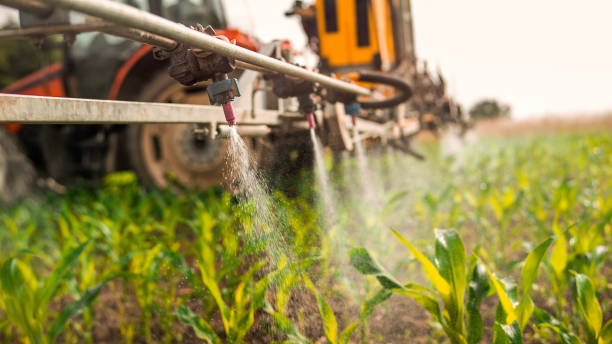Best Best Pest Control Companies  in Solomon, KS